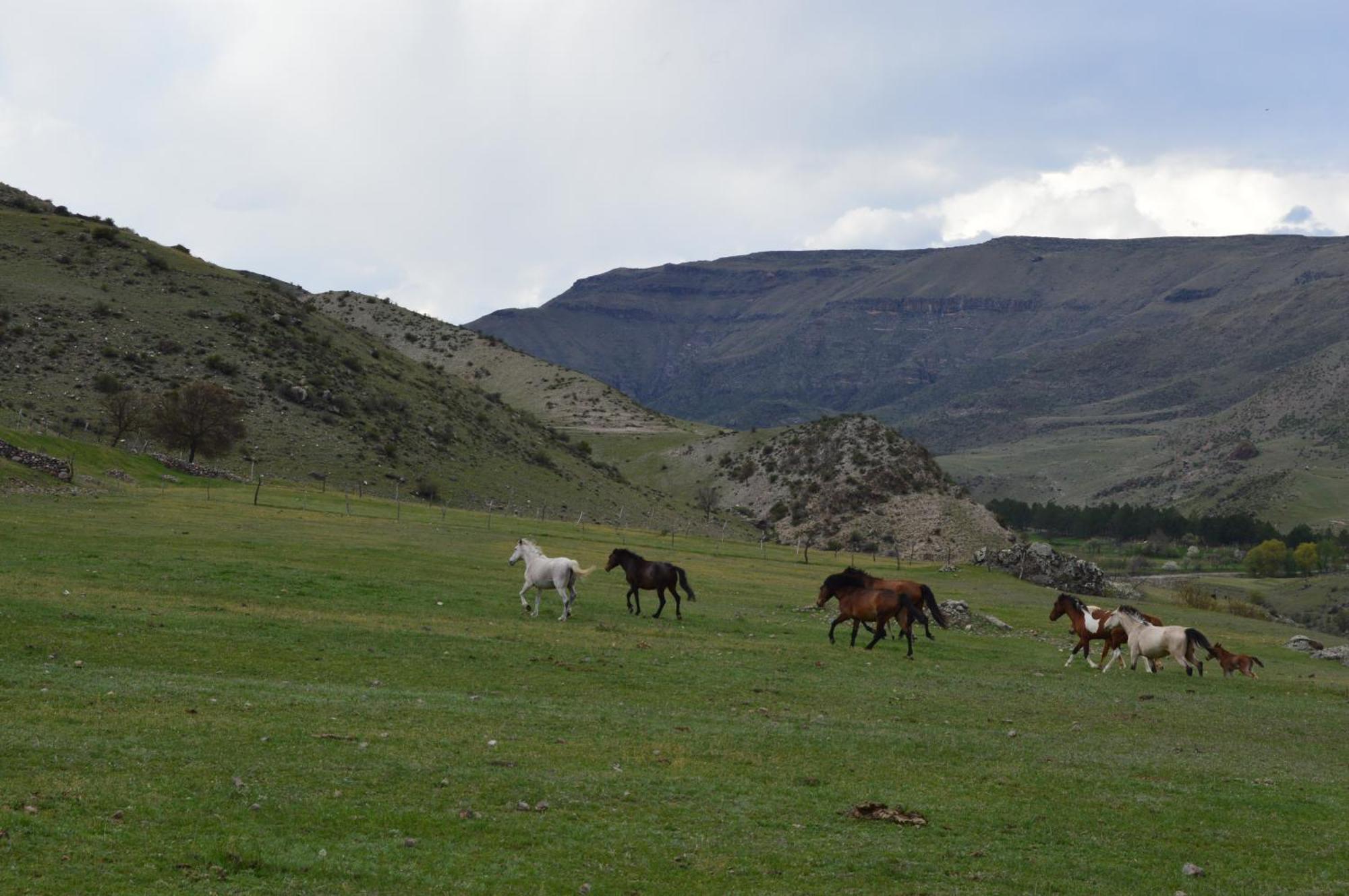 Tirebi Farmhouse Vardzia  Exteriér fotografie